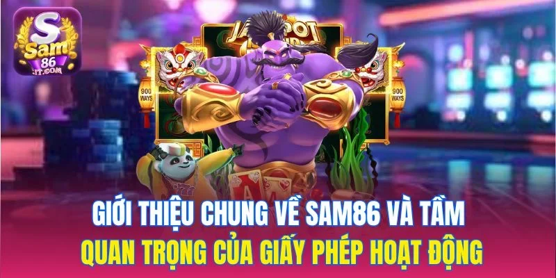 Giới thiệu chung về tầm quan trọng của giấy phép hoạt động